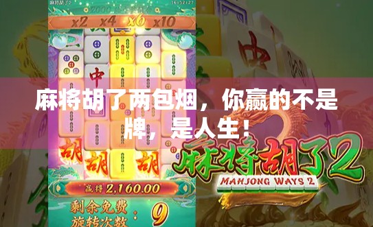 麻将胡了两包烟，你赢的不是牌，是人生！